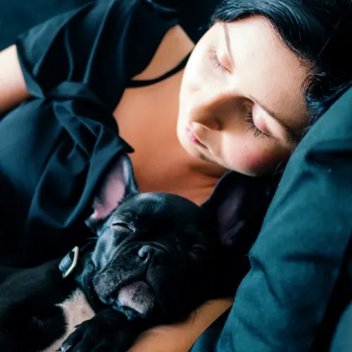 owner with dog asleep on sofa
