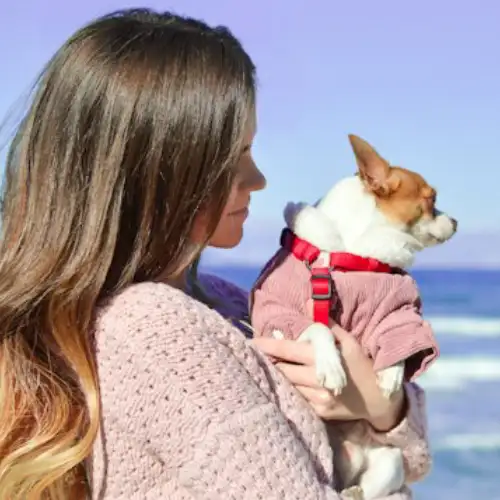 owner with dog on beach