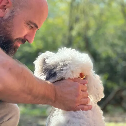 owner with dog in nature